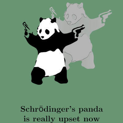 Schrödinger's panda is really upset now T-Shirt